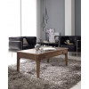 Mesa de centro con posibilidad de tapa en madera o cristal Ref MCR13000